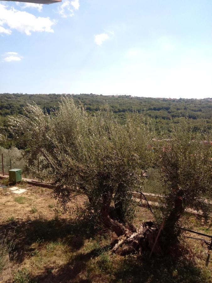 V Klancu Dekani Exterior foto